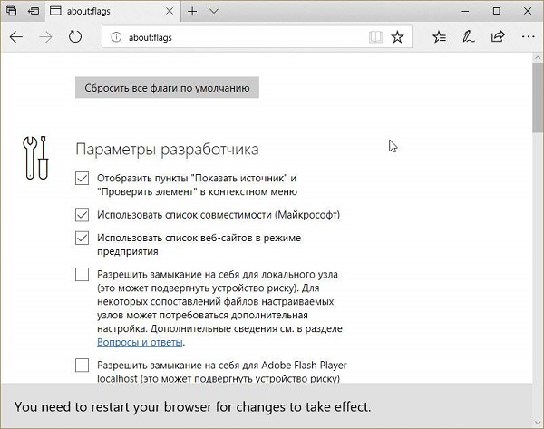Раздел Настройки разработчика Раздел Настройки разработчика