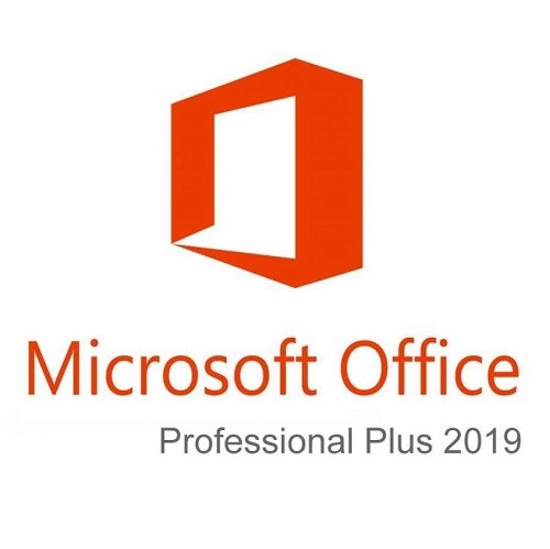 Microsoft Office Professional Plus 2019 SNGL OLP NL [79P-05729]