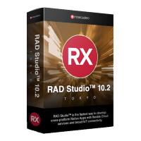 RAD Studio 10.2 Tokyo Professional Upgrade Network Named Flex [BDB203MUEUWB0]