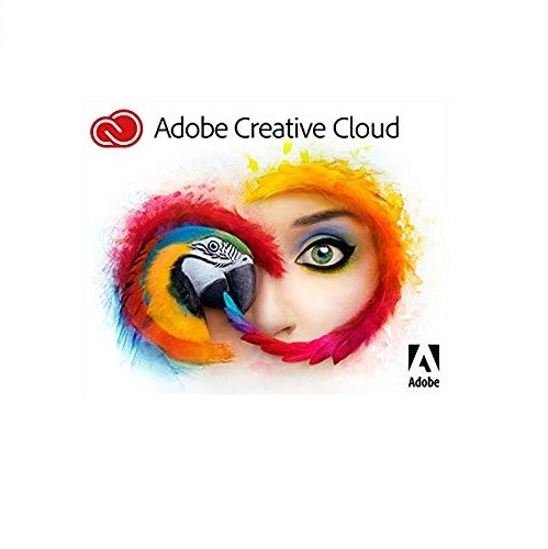 Creative Cloud for teams All Apps ALL Multiple Platforms Multi European Languages Team Licensing Subscription Renewal [65297757BA01A12]