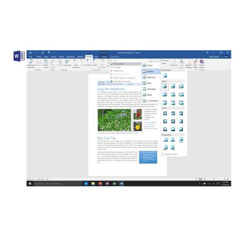 Microsoft Office 2016 Professional Plus RUS OLP Acdmc [79P-05546]