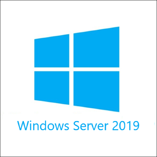 Microsoft Windows Server CAL 2019 SNGL OLP NL UsrCAL [R18-05768]
