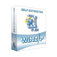 WinZip Self-Extractor 4 License EN 10-24 [LCWZSE4PCB]
