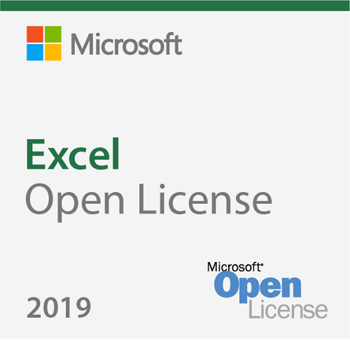 Excel 2019 SNGL OLP NL Acdmc [065-08665]