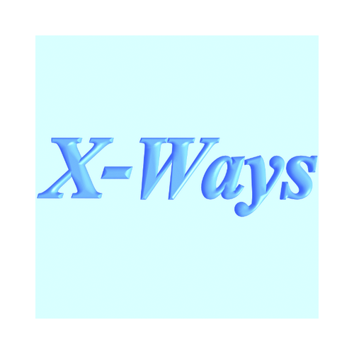 X-Ways Security 1 license [1512-23135-292]
