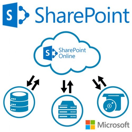 SharePoint Online (Plan 2) 1 Month [69c67983]