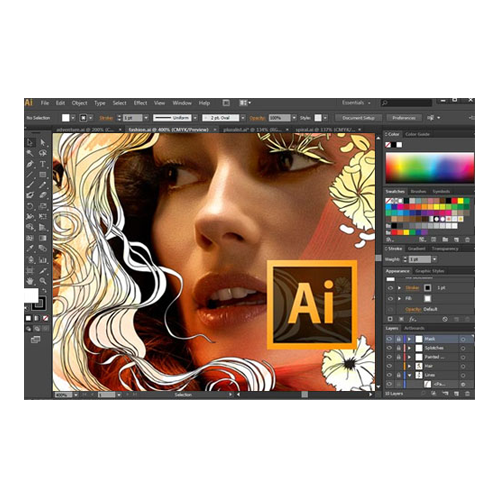 Adobe CS6 Master Collection: Photoshop, Illustrator, InDesign, Acrobat, Fireworks, Premiere, After Effects, Audition