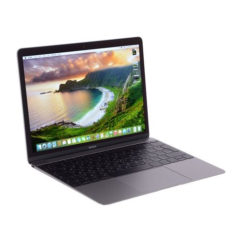 Ноутбук APPLE MacBook MLH72RU/A, темно-серый [377211]