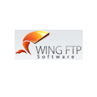 Wing FTP Server Secure Edition 2 licenses [1512-23135-57]