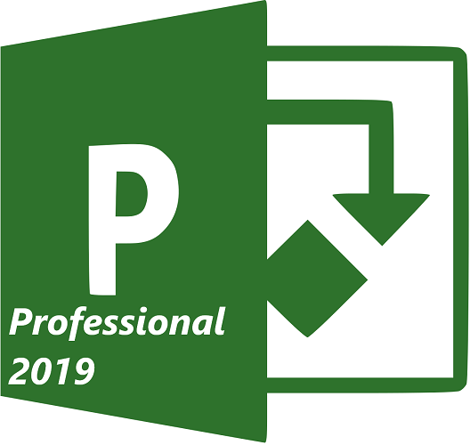 Project Professional 2019 SNGL OLP NL w1PrjctSvrCAL [H30-05830]