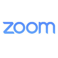 ZOOM Professional Services Work / Услуги инженеров [1512-2115-30]